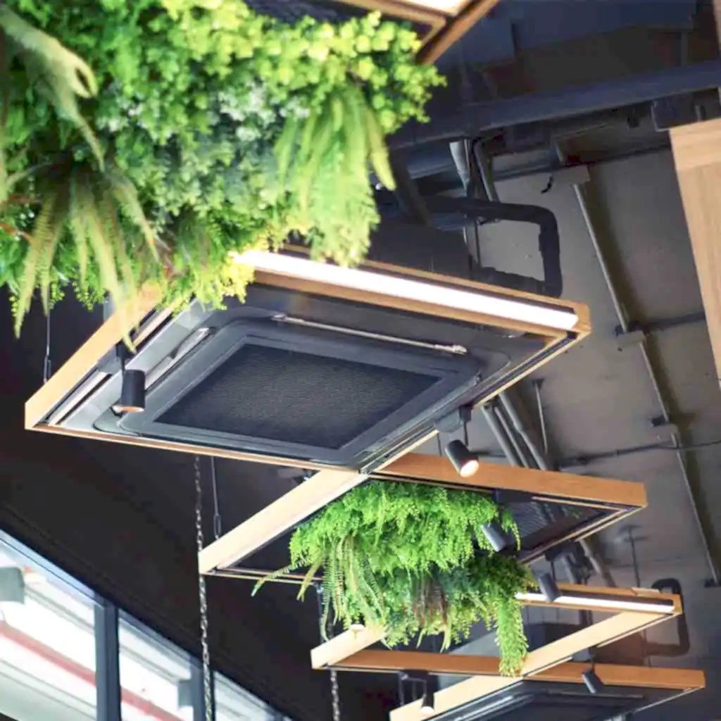 Vatan Klima Hakkında